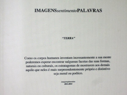 ext&eacute;ril - Joaquim Pinto Vieira