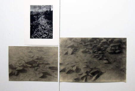 ext&eacute;ril - bienal da maia 2015 