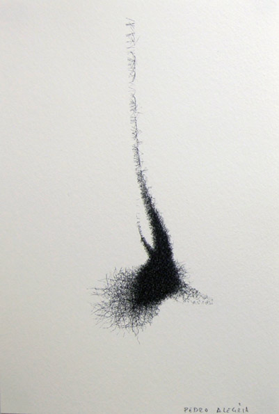 Pedro Alegria