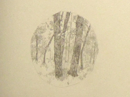 ext&eacute;ril
