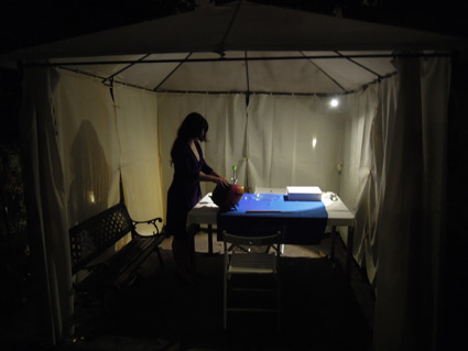 Poste -video art - beatriz albuquerque