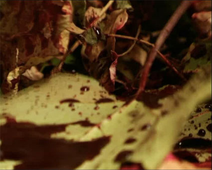 Poste - video art - Barbara Agreste