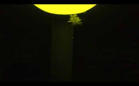 poste - video arte - jo&atilde;o pedro amorim