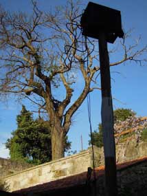 Poste - video art